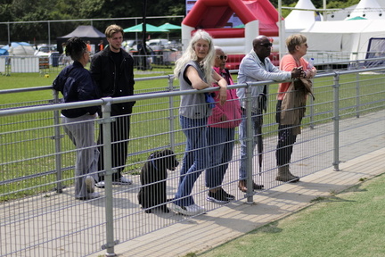 2025-06-09 13Û×ë21 DES Pinkstertoernooi 2025 DMY5272